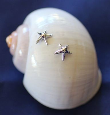 Shiny Starfish Earrings